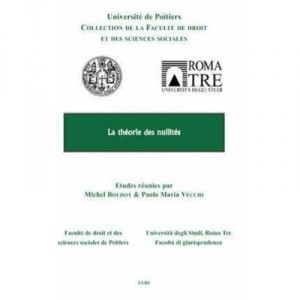 Theory of Nullity - Michel Boudot, Maria Paolo Vecchi