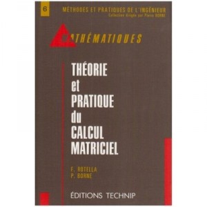 Theorie Et Pratique Du Calcul Matriciel - Rotella