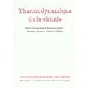 Thermodynamique De La Chimie - Herve Lemarchand