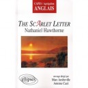 The Scarlet Letter , Nathaniel Hawthorne - Marc Amfreville , Antoine Caze