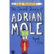 The Secret Diary Of Adrian Mole Aged 13 3/4 - Townsend Sue