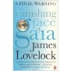 The Vanishing Face Of Gaia: A Final Warning - James E. Lovelock