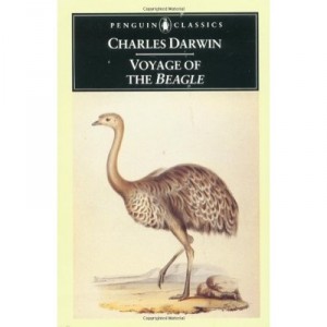 The Voyage Of The Beagle - Darwin Charles