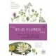 The Wild Flower Key - Rose Francis