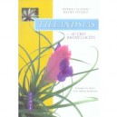Tillandsias Et Autres Bromeliacees , Comment Les Choisir - Daniel Leveque , Stephan Cuzenic