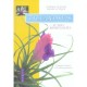 Tillandsias Et Autres Bromeliacees , Comment Les Choisir - Daniel Leveque , Stephan Cuzenic