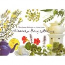 Tisanes Et Sirops Delices - Marie-francoise Delaroziere