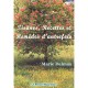 Tisanes, Recettes Et Remedes D'autrefois - Marie Delmas