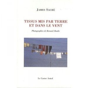 Tissus Mis Par Terre Et Dans Le Vent - James Sacre