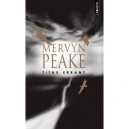 La Trilogie De Gormenghast T.3 , Titus Errant - Mervyn Peake