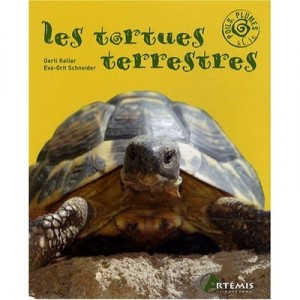 Tortues Terrestres - Collectif