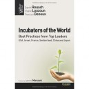 Incubators Of The World - Steeve Louzoun , Daniel Rouach , Francois Dereux
