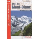 Tour Du Mont-blanc , 73-74-suisse-italie -gr-028 (edition 2010) - Collectif