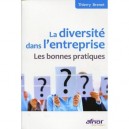 La Diversite Dans L'entreprise. Les Bonnes Pratiques - Brenet Thierry