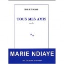 Tous Mes Amis - Marie Ndiaye