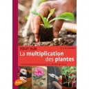 Tout Sur La Multiplication Des Plantes - Kawollek