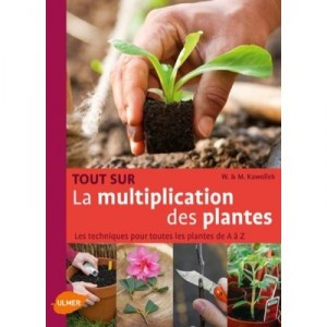 Tout Sur La Multiplication Des Plantes - Kawollek