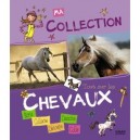 Tout Sur Les Chevaux - Isabelle Maroger
