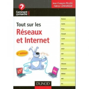 Tout Sur Les Reseaux Et Internet - Pillou , Lemainque
