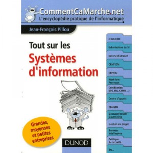 Tout Sur Les Systemes D'information - Jean-francois Pillou