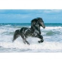 Clementoni - Puzzle - Black Horse