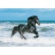 Clementoni - Puzzle - Black Horse