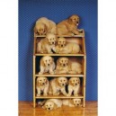 Clementoni - Puzzle - Dog Friends