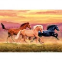 Clementoni - Puzzle - Horses