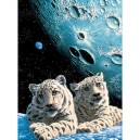 Clementoni - Puzzle - Liar Of The Snow Leopard