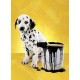 Clementoni - Puzzle - Spotted Friend - 1000 Pièces