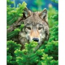 Clementoni - Puzzle - The Wolf