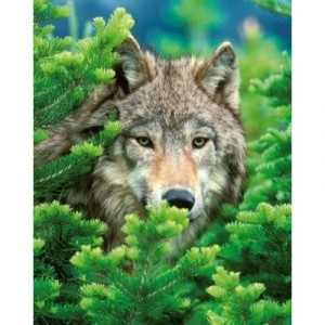 Clementoni - Puzzle - The Wolf