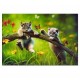 Educa toys Educa - Puzzle 500 Le Monde des Petits Lynx - 13413