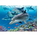 Educa toys Educa - Paradis Sous L?Eau - 11750
