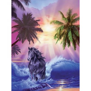 Ravensburger - 500 Pièces - Couché De Soleil Sur La Mer