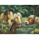 Ravensburger Jigsaw Puzzle - Horse Whisperers - 200 Pièces Xxl
