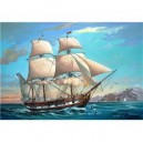 Revell - H.M.S. Beagle - 05458