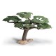 Schleich - Acacia Tortilis - 30654