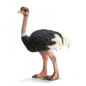 Schleich - Autruche - 14325