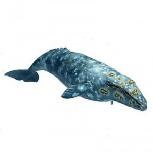 Schleich - Baleine Grise - 16082