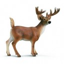 Schleich - Cerf De Virginie - 14253