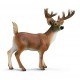 Schleich - Cerf De Virginie - 14253