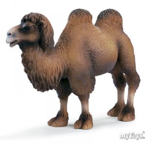 Schleich - Chameau - 14348