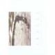 Traces , Bassin D'arcachon - Bruno Mazodier , Rade