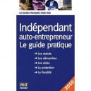 Independant Et Auto Entrepreneur , Guide Pratique (edition 2010) - Benoit Serio