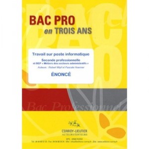 Travail Sur Poste Informatique , Bac Pro En Trois Ans , Seconde Professionnelle , Bep Metiers Des Secteurs Administratifs , Poc