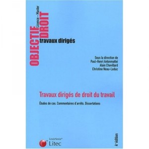 Travaux Diriges De Droit Du Travail - Paul-henri Antonmattei