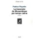 La Traversee Du Mozambique Par Temps Calme - Patrice Pluyette