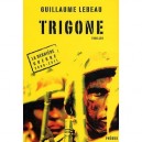 Trigone , La Derniere Guerre 2008-2011 - Guillaume Lebeau
