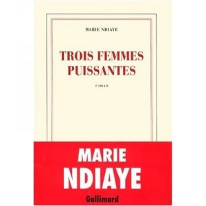 Trois Femmes Puissantes - Marie Ndiaye
